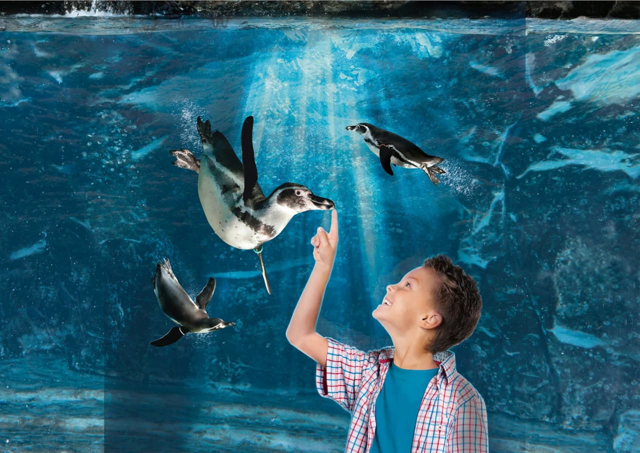 Aquarium of Cattolica Ticket - main image