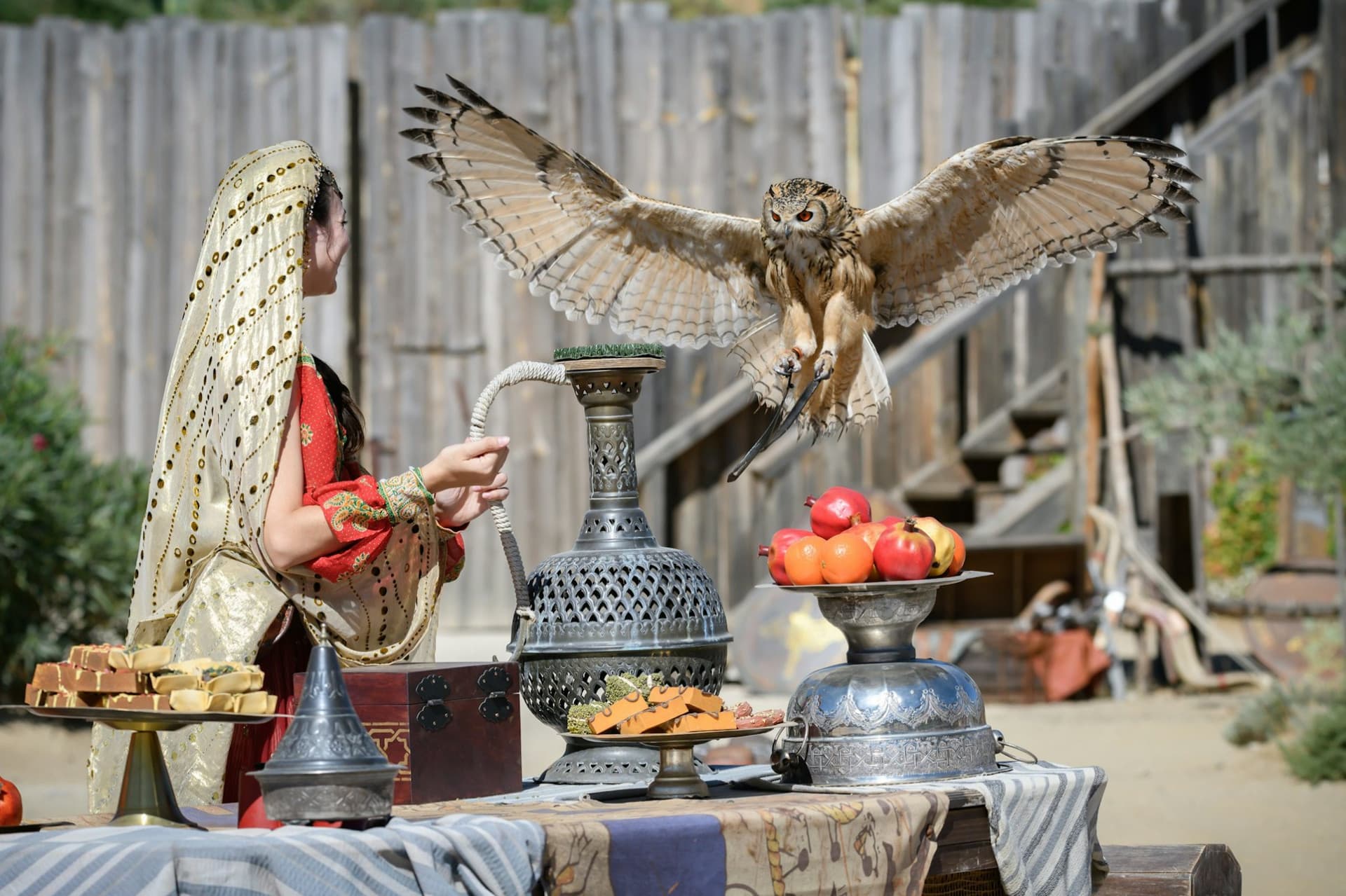 Puy du Fou España Ticket - image 5