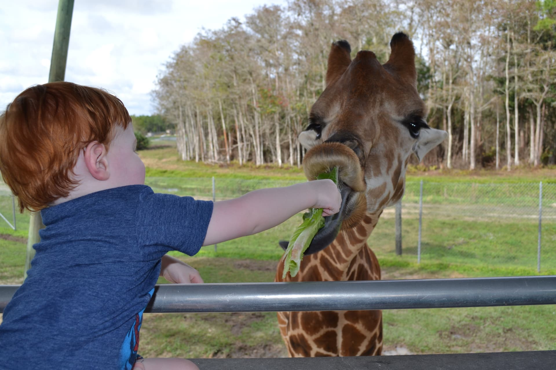 Go City Miami All-Inclusive Pass: Save up to 50% on Attractions - image 24