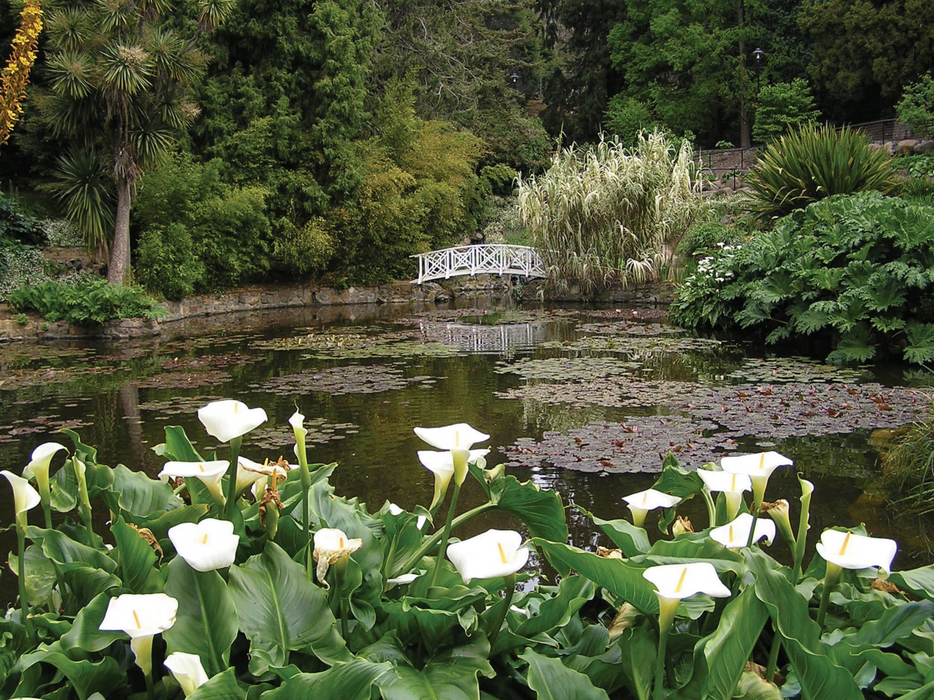 Sullivan's Cove and Hobart City Tour - image 3